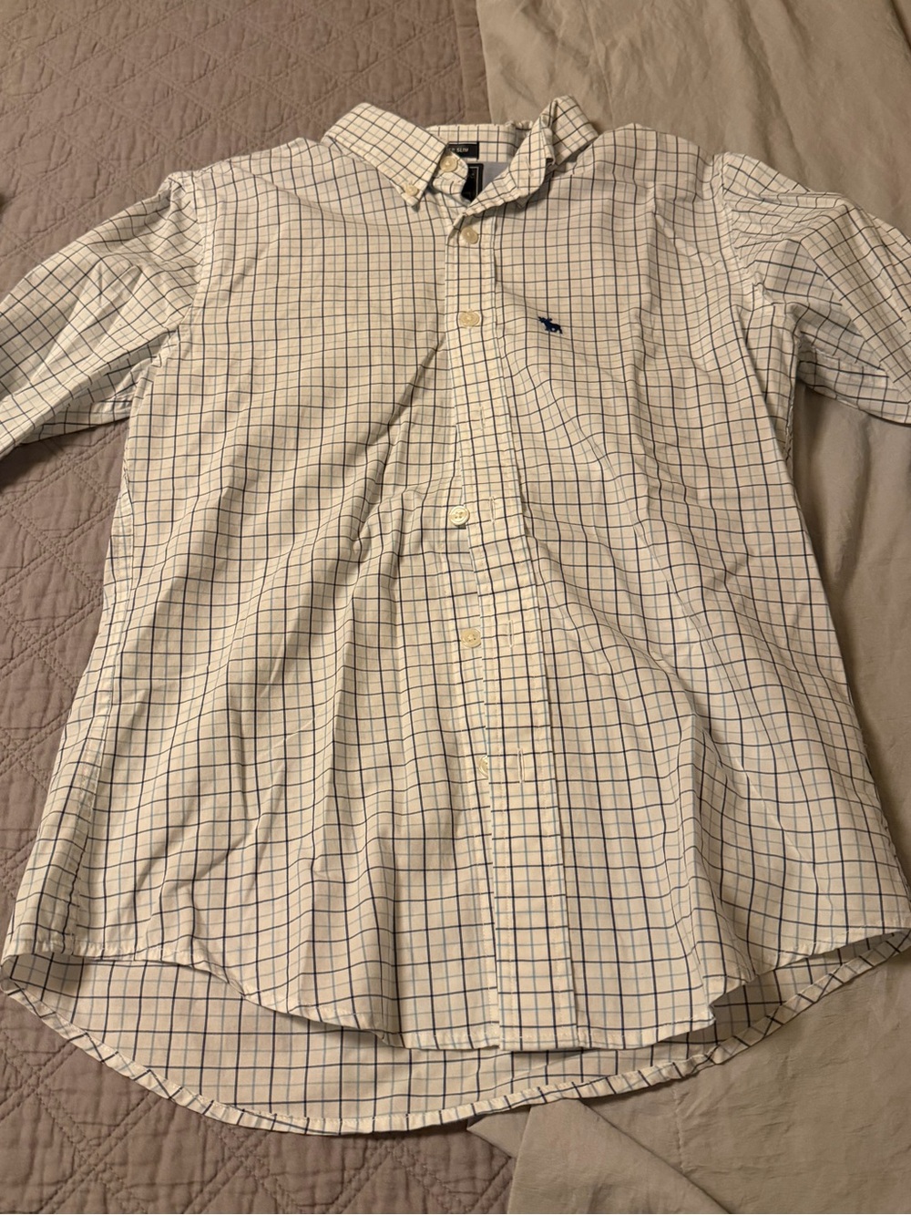 Abercrombie & Fitch White Button-Down with Blue Windowpane Check